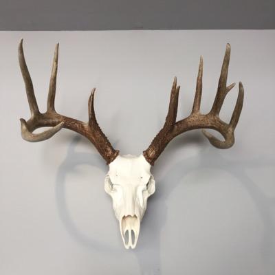 Profile Picture of Bradley S Zimmerman (@bszimm) on Twitter