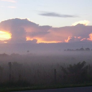 Profile Picture of Randolph Watkins (@randaddyo2000yahoocom) on Myspace