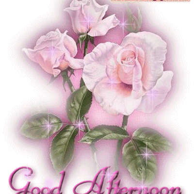 Profile Picture of Gautam Das (@gautamdas2516) on Twitter