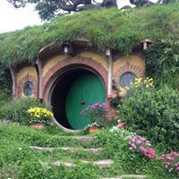 Profile Picture of Debrah McAdam (@dbmcadam) on Pinterest