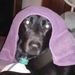 Profile Picture of Robin Tweedy (@robintweedy) on Pinterest