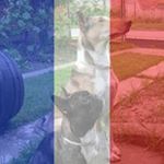 Markéta Kouřilová - Instagram Profile Picture of Markéta Kouřilová (@qabadaadacea5040) on Instagram