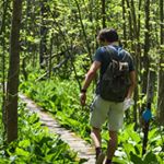 Profile Picture of Nathan Aberlich (@naberlich) on Instagram