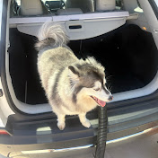 Profile Picture of Jacob Robbins (@donalddequiveous8077) on Youtube