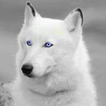 Profile Picture of Manny Jaramillo (@jaramillomanny) on Instagram