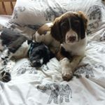 Profile Picture of Montey&Murphy (@montey.murphy) on Instagram