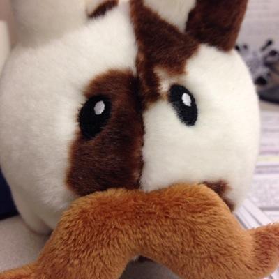 Profile Picture of Diane Hartman (@DianeDinghart) on Twitter