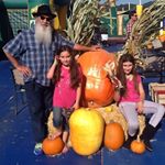 Profile Picture of Omar Cohen Grijalva (@omarcohengrijalva) on Instagram