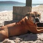 Profile Picture of Lance Steele (@lance.steele.52) on Instagram
