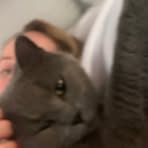 Profile Picture of Tracey Travers (@Tracey-Travers) on Facebook