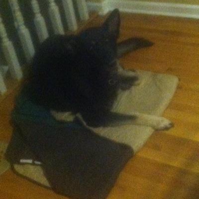 Profile Picture of Julius Stovall Jr (@julius_stovall) on Twitter