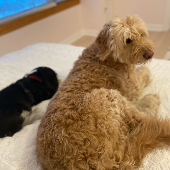 Profile Picture of Christopher Fitzgerald (@christopherf749) on Poshmark