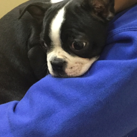 Profile Picture of Dylan Stemper (@demon19) on Poshmark