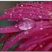 Profile Picture of Gina Peters (@ginas5kids) on Pinterest