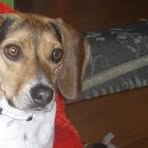 Profile Picture of Scout Vandenbosch (@scout.vandenbosch) on Facebook