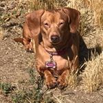 Profile Picture of Vikki Bryant (@vikki.wheeler.777) on Instagram