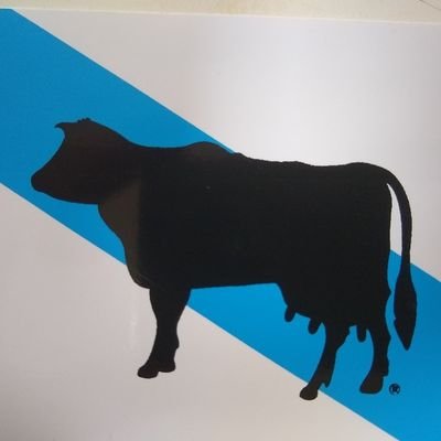 Profile Picture of Julio Taboada Tojo (@TaboadaTojo) on Twitter