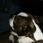 Profile Picture of andrew (@wolfenden.andrew) on Instagram