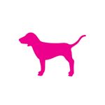 Profile Picture of VSPINK Scottsdale (@vspinkscottsdale) on Instagram
