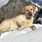 Profile Picture of Tony Magarrell (@tony.magarrell) on Facebook