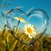 Profile Picture of Lorraine Bolduc (@Lorraine-Bolduc) on Facebook
