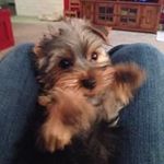 Profile Picture of Terry Gamblin (@terrygamblin) on Instagram