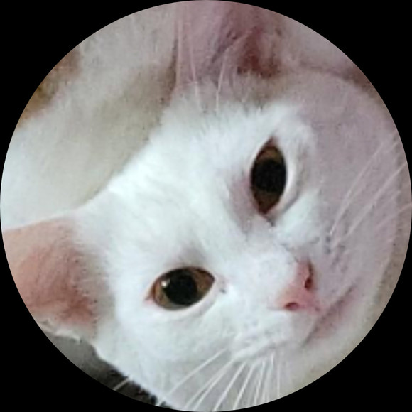 Profile Picture of Madison Mayer (@muda_shop) on Poshmark