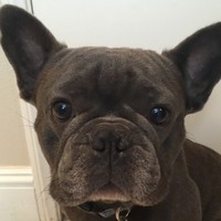 Alice Leyvas - Quora Profile Picture of Alice Leyvas (@alice-leyvas) on Quora