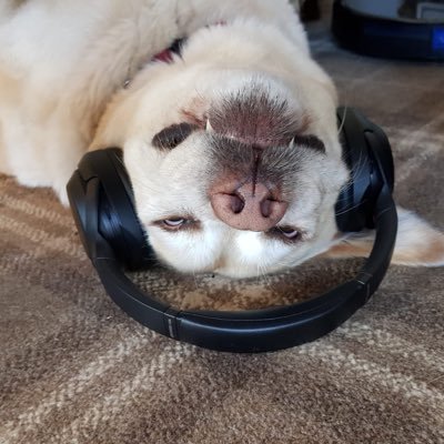 Profile Picture of Mike Rodger (@MikeRodger4) on Twitter