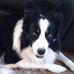 Profile Picture of Debra Melling (@debra.melling) on Facebook