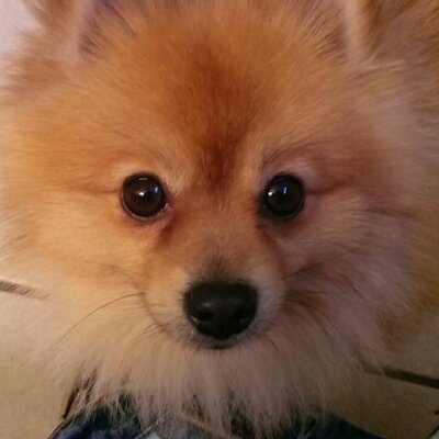 Profile Picture of THOMAS BURGHARDT (@TBURGH321) on Twitter