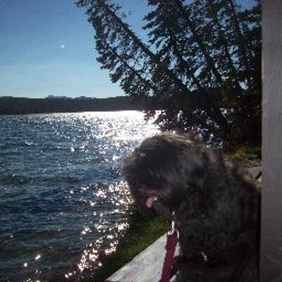Profile Picture of Linda Cottrell (@Cheetah120) on Twitter