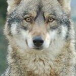 Profile Picture of Eric Rouchut (@rouchuteric) on Instagram