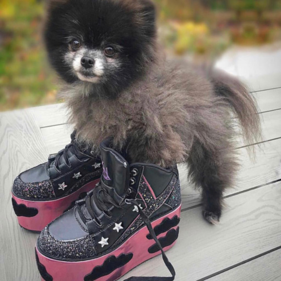 Profile Picture of Yozora Caelum (@yozoranoctis) on Poshmark