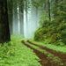 Profile Picture of Jon Paschal (@jonp0665) on Pinterest