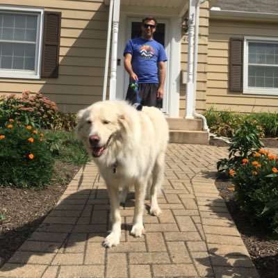 Profile Picture of Dan Marcus (@DanBHQ) on Twitter