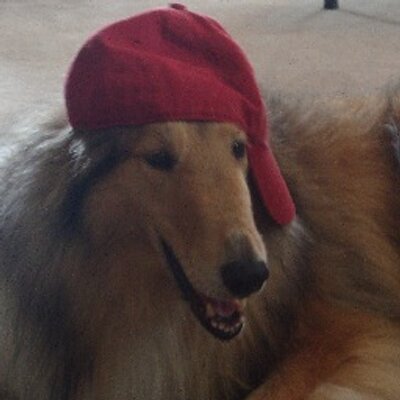 Profile Picture of Terry Kuhn (@tmrk57) on Twitter