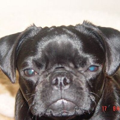 Profile Picture of Mike Cosmo (@justsurf71) on Twitter