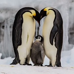 Profile Picture of Shabbir Ahmad Awan (@ahmadhassanawan) on Flickr