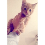 Profile Picture of Lauren-jade Brock (@laurenjadebrock) on Flickr