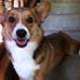 Profile Picture of Zola Wright (@zola.wright.9) on Facebook