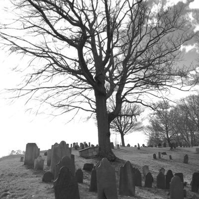 Profile Picture of Michael R Lambert (@exetertowncrier) on Twitter