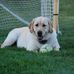Profile Picture of Mark Mazurek (@mark.mazurek.71) on Facebook