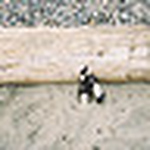 Profile Picture of joshua rowton (@jfrowton) on Flickr