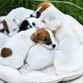 Profile Picture of Kirby Bond (@bond9110) on Pinterest