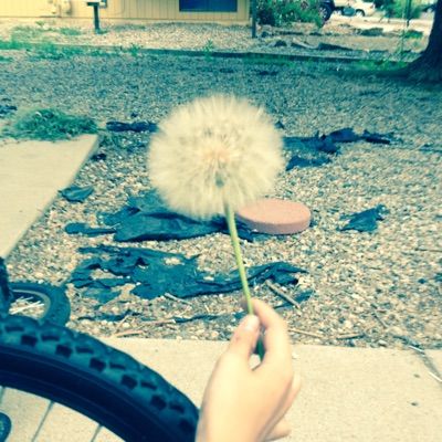 Profile Picture of Robert Cooley (@@deadpool_thats_me) on Tiktok