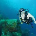 Profile Picture of John Levay (@john.levay) on Instagram