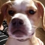 Profile Picture of Cheryl Zawada Corey (@cherylcorey1551) on Instagram