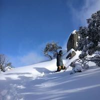 Profile Picture of David Connelly (@david-connelly-28) on Quora