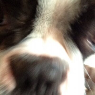 Profile Picture of Mark Sager (@GlobalheadMark) on Twitter